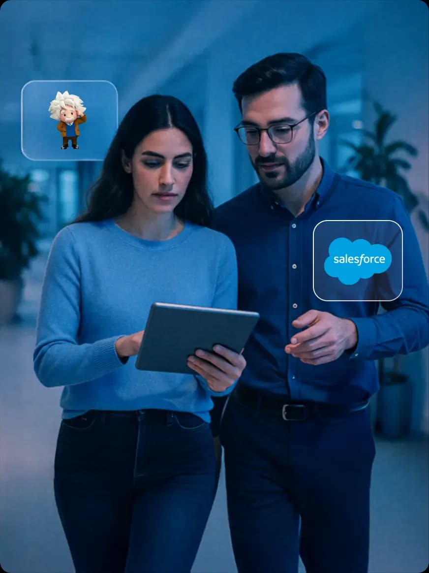 Wholesome Salesforce Solutions